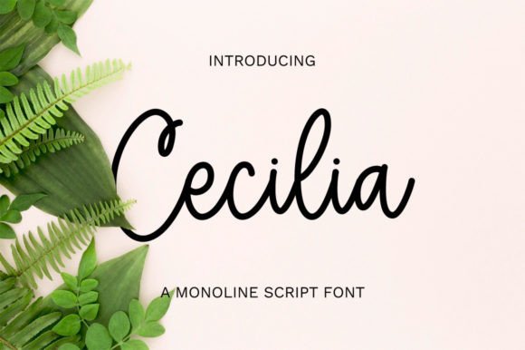Cecilia Font for Editorial Design