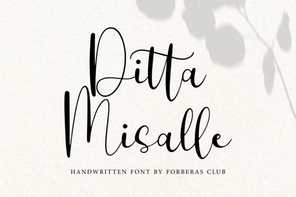 Ditta Misalle Font for Elegant Branding
