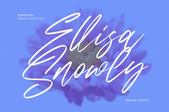 Ellisa Snowly Font for Elegant Design