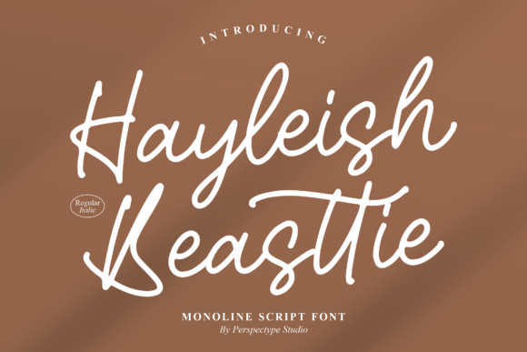 Hayleish Beasttie: A Dazzling Script Font for Branding