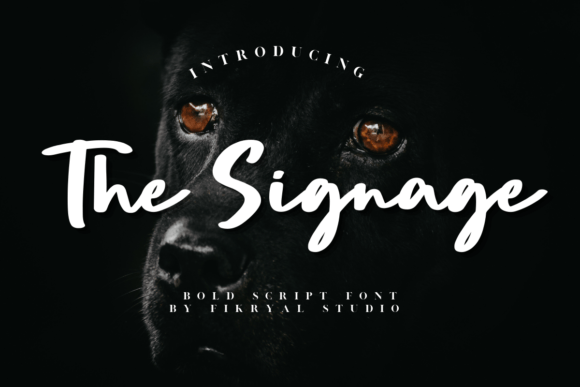 The Signage Font for Editorial Design