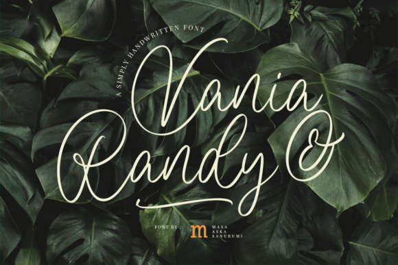 Vania and Randy: A Modern Script Font for Branding